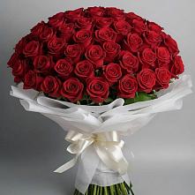 Букет 101 Красная роза Блэк Мэджик в Сельхозтехнике