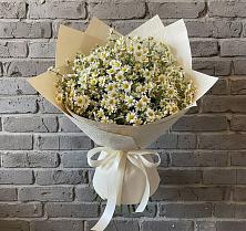 Букет цветов из:  Ромашки в Сельхозтехнике