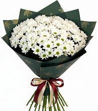 Букет цветов из:  Хризантемы в Сельхозтехнике