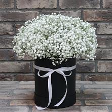 Цветочная композиция из Гипсофила в шляпной коробке #REPLACE_PRED# Сельхозтехнике