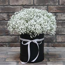 Цветочная композиция из Гипсофила в шляпной коробке в Сельхозтехнике