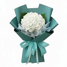 Букет цветов из:  Гортензия в Сельхозтехнике